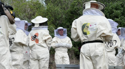 a photo of several people participating in the 'Smart Green Bees' project