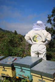 a photo of person in the process of moving new hives and implemented advanced monitoring systems