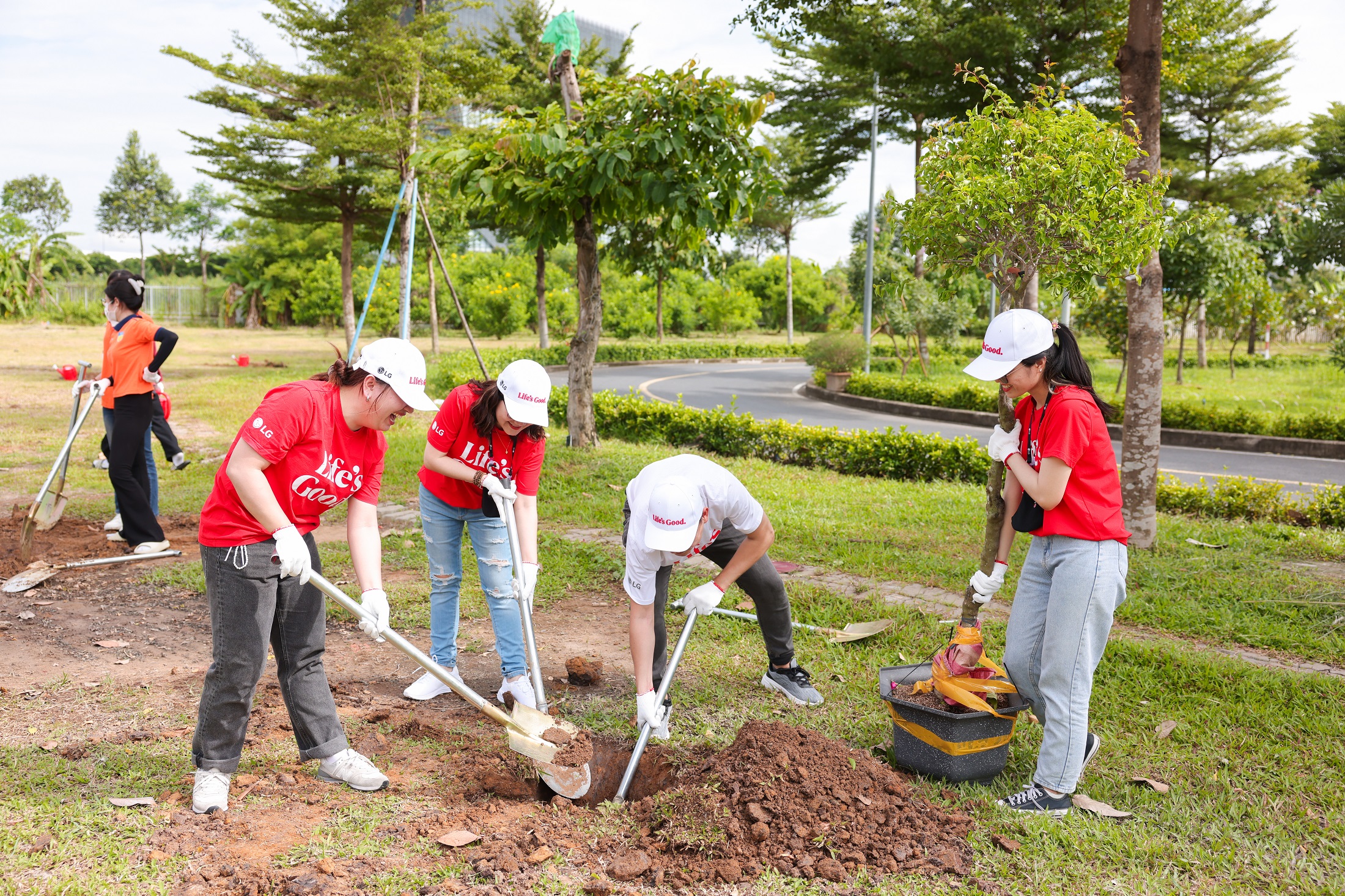 A picture of LG Vietnam employees planting trees